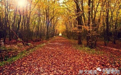 所见所思——冲动之后