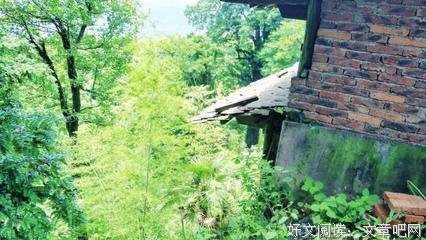 来 到 桃 华 寺