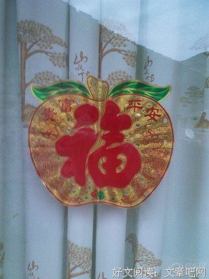 周末 老家的菜园