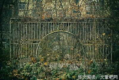 荒 园