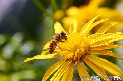 偷得浮生半日闲