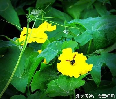 为谁辛苦为谁忙
