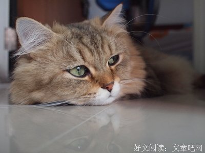 寂寞