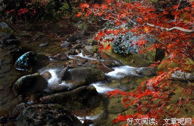 让爱静静地流淌