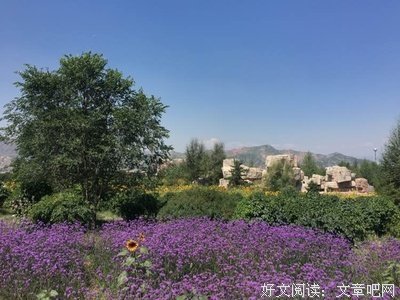 一个人骑着车，走在阳光路上