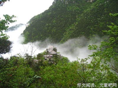落 叶 有 声