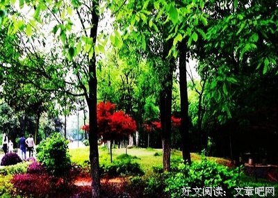 四季如画的公园