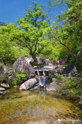 八月，与你隔花相见