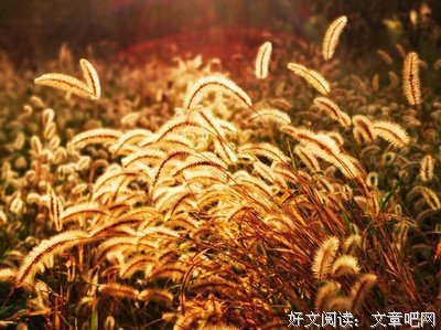 浅秋，恬静的写意