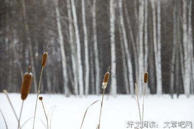 冬语