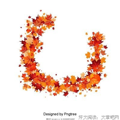 秋叶飘飘的那个下午