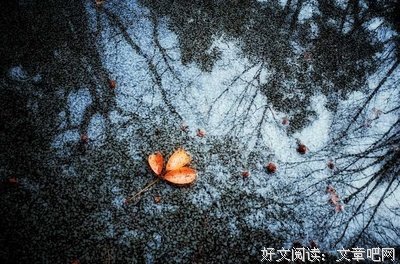 秋叶黄，落纷纷