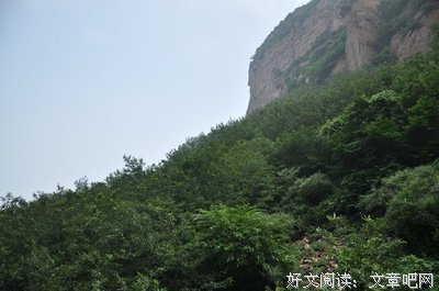 青山净水闲有意，老树着花无丑枝