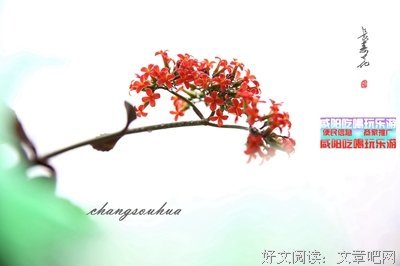 爱化春雨浓，花开满园红