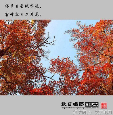 秋日呓语