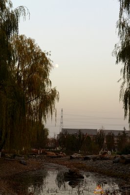 月上柳梢头