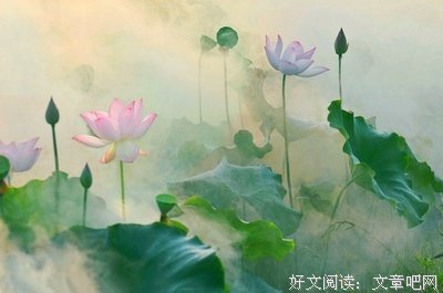 念念清风起，步步莲花生