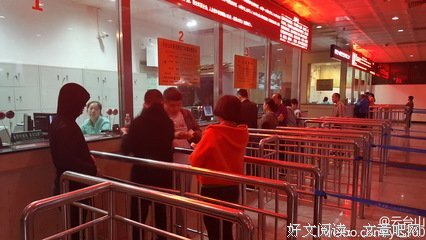 清晨，绽放一朵甜美的微笑