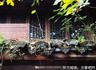 在深秋，寻一方静谧