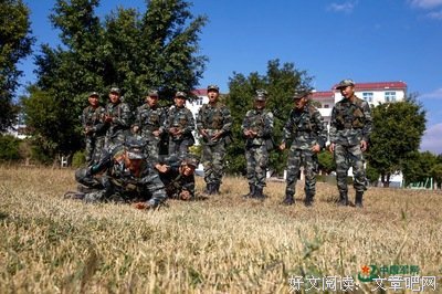 “风”和“训”到底啥区别
