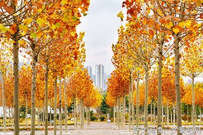 春去几时回 往事空记省