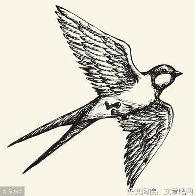 同情林校长