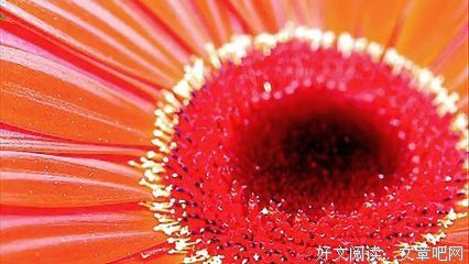 洁净心