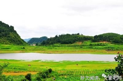 那天沉醉于《致青春》