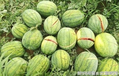 老王说：我快要崩溃了