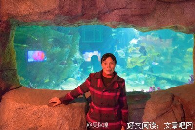 一尾鱼的时光