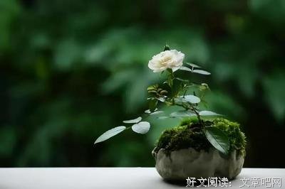珍惜这难得的温暖