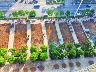 小区的停车场(铲草)