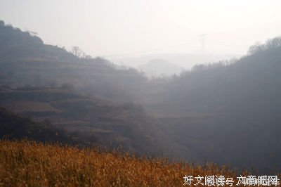 生活使我变得更加坚强