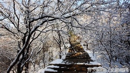 每个人都不容易