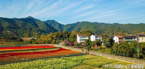 美在和谐