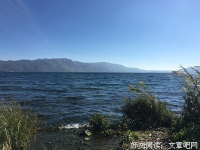 写给我的“魔鬼天使们”
