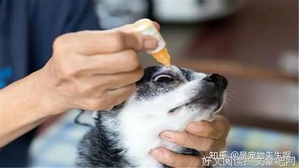 两滴眼药水