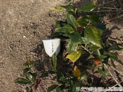 在家庭中如何正确实施自然后果法