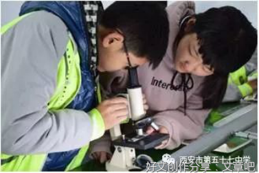 赏识眼光:唤醒孩子内心的自信