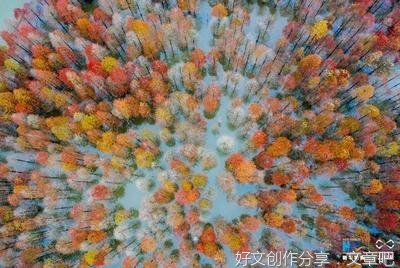 邂逅初冬