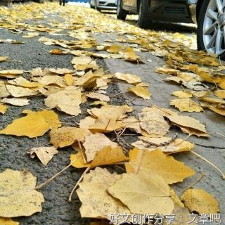 认真地老去