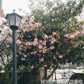 雨后天