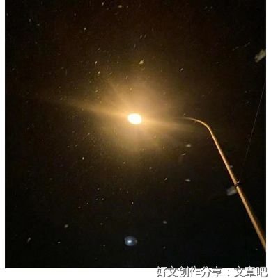 “情”“景”结合