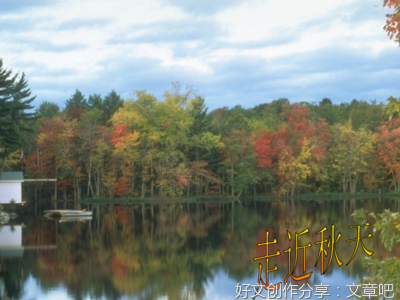 探究“情物”，把握情感