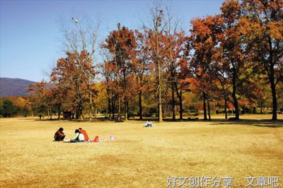 藏在景色里的密语