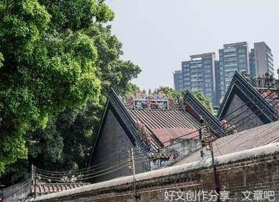 从“网红汤”里看生活