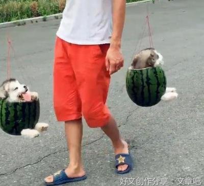 孩子，你是这里的主人