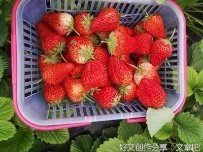 好家风跟金钱无关