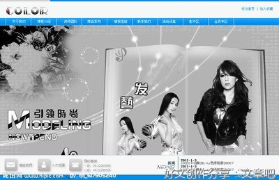 发艺之智