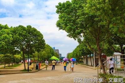 《你当像鸟飞往你的山》读后感